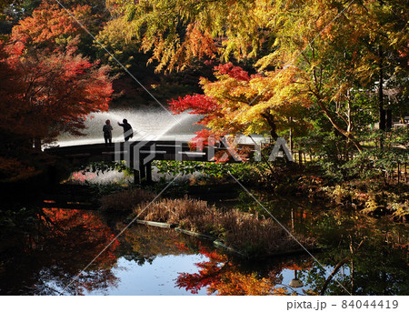 古城公園　噴水 9 84044419
