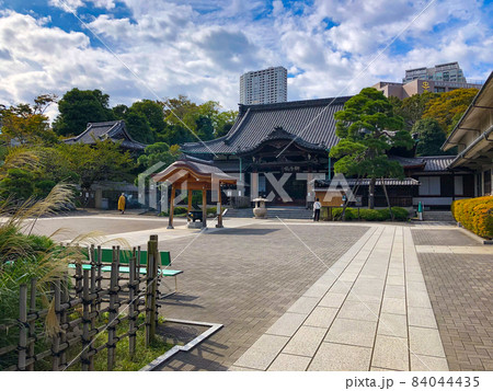 東京品川・泉岳寺本堂 東京品川・泉岳寺本堂 84044435