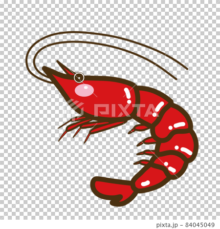 イラスト素材 海の生き物_エビ イラスト素材 海の生き物_エビ 84045049