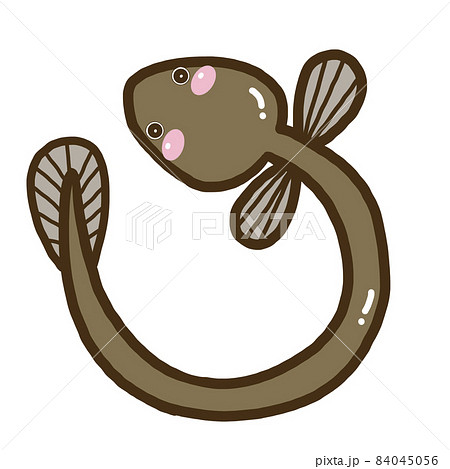 イラスト素材 海の生き物_ウナギ イラスト素材 海の生き物_ウナギ 84045056