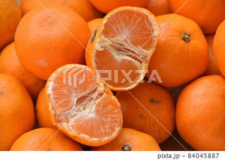 旬の三ケ日みかん 旬の三ケ日みかん 84045887