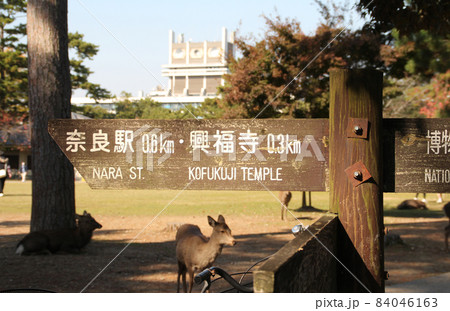 奈良公園の道しるべ 84046163
