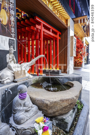 手水鉢と朱色の鳥居を見る萬松寺入り口風景 84046399