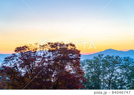 秋の大峰高原の日の出と七色大カエデの紅葉　【長野県】 84046747