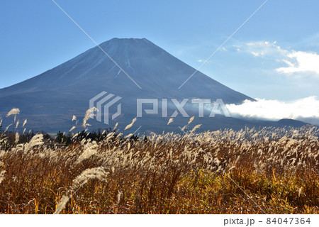 富士山と紅葉 富士山と紅葉 84047364