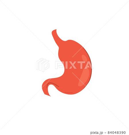 Flat cartoon person stomach,medical treatment and therapy,human anatomy educational material vector illustration concept Flat cartoon person stomach,medical treatment and therapy,human anatomy educational material vector illustration concept 84048390