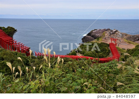 日本の誇る絶景　日本で最も美しい場所　元乃隅神社 84048597