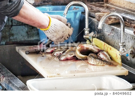釣り堀で釣った魚をさばいてもらう 84049602