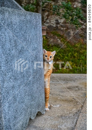 木山神社の立派な境内 84049650