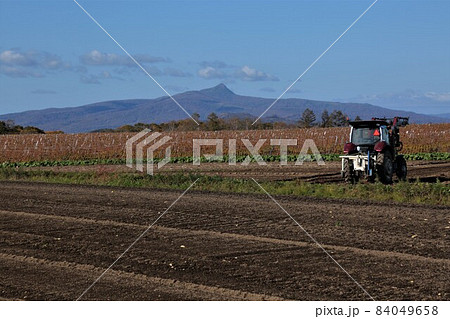北海道の風景・昆布岳と収穫後のジャガイモ畑 84049658