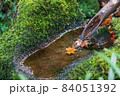 紅葉 紅葉 84051392