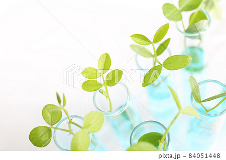 研究イメージ バイオテクノロジー 研究イメージ バイオテクノロジー 84051448