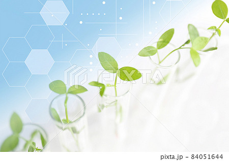 研究イメージ バイオテクノロジー 研究イメージ バイオテクノロジー 84051644