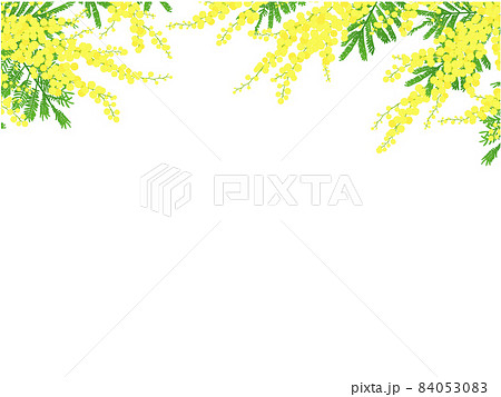 Mimosa frame ① Upper part - Stock Illustration [84053083] - PIXTA