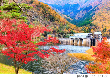京都府美山「大野ダム公園」紅葉 京都府美山「大野ダム公園」紅葉 84053109
