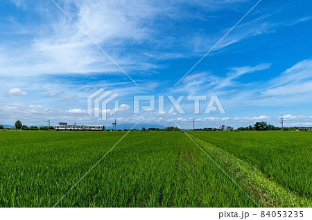 【青森県津軽平野】津軽富士岩木山を眺めながら津軽平野を走る田んぼ鉄道（弘南鉄道） 84053235