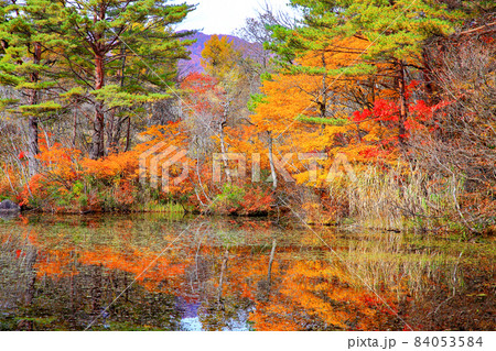 裏磐梯中瀬沼探勝路　レンゲ沼 84053584