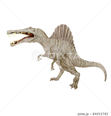 Spinosaurus isolated on white. Gray inosaur-predator. Watercolor illustration. Perfect for children things 84053785