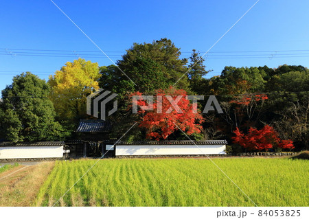 秋の矢田天満宮 84053825