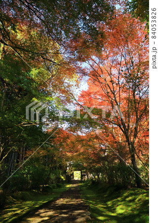 福性寺参道 84053826