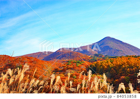 磐梯山ゴールドライン 84053858