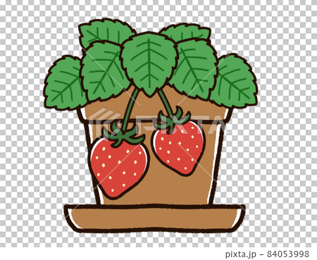 イチゴの植物画 リトグラフ イチゴの植物画 リトグラフ イチゴの植物画 リトグラフ 1880年頃