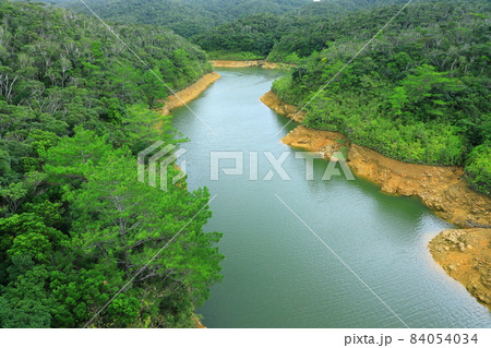 やんばる国立公園　普久川とイタジイの森 84054034