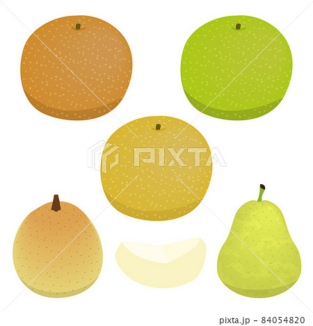 梨のイラストセット 84054820