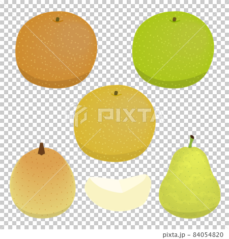 梨のイラストセット 84054820