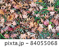紅葉の落ち葉 紅葉の落ち葉 84055068