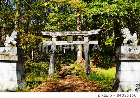 飯縄山 南登山道 飯縄大明神 鳥居 飯縄山 南登山道 飯縄大明神 鳥居 84055156