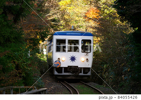 【引退】紅葉の中を備後落合駅へ向かう奥出雲おろち号　広島県庄原市 84055426