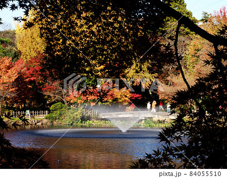 高岡古城公園 中の島 紅葉 1 84055510