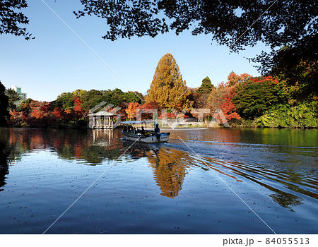 高岡古城公園 中の島 紅葉 2 高岡古城公園 中の島 紅葉 2 84055513