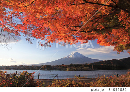 富士山と紅葉 富士山と紅葉 84055882