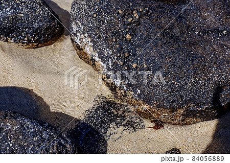 Close-up of volcanic stone beach rock with shells and barnacles on the water Close-up of volcanic stone beach rock with shells and barnacles on the water 84056889