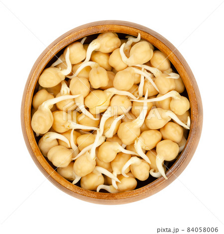 Fresh chickpea sprouts, in a wooden bowl. Ready to eat, sprouted chickpeas, seeds of Cicer arietinum, a legume, also known as chick peas, garbanzo beans or gram, and high in protein. Macro food photo. Fresh chickpea sprouts, in a wooden bowl. Ready to eat, sprouted chickpeas, seeds of Cicer arietinum, a legume, also known as chick peas, garbanzo beans or gram, and high in protein. Macro food photo. 84058006