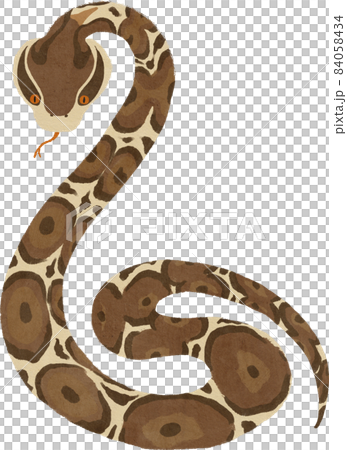 マムシのイラスト素材