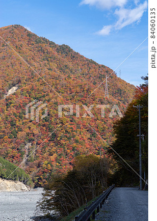 畑薙湖の紅葉 畑薙湖の紅葉 84060135