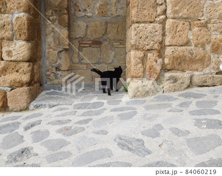 イタリア　チヴィタディバニョレージョの黒猫 84060219