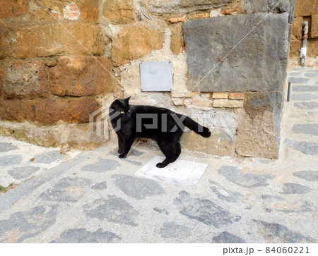 イタリア　チヴィタディバニョレージョの黒猫 84060221