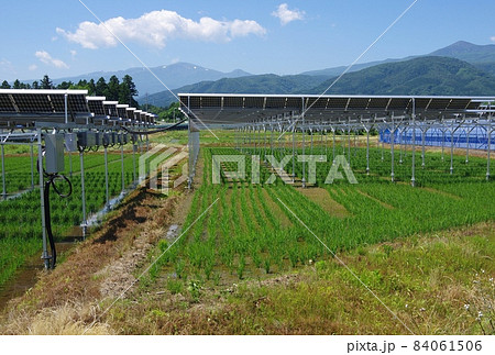 太陽光発電の田の稲 田んぼと太陽光発電 太陽光発電の田の稲 田んぼと太陽光発電 84061506