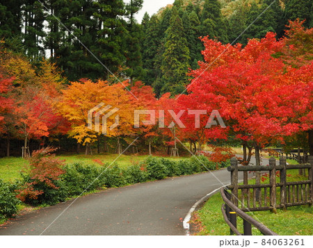 紅葉がきれいな秋の公園 84063261