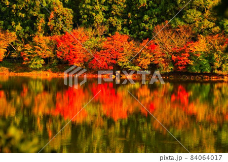 長崎県の秋の綺麗な諏訪の池 長崎県の秋の綺麗な諏訪の池 84064017