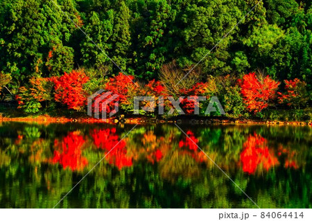 秋の綺麗な景色と池に映る紅葉の写真素材