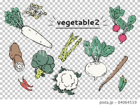 シンプルな野菜セット 84064519