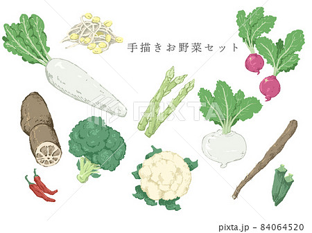 ラフなタッチの野菜セット 84064520