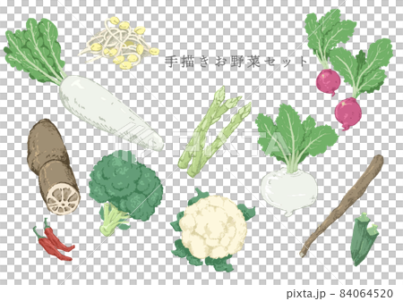 ラフなタッチの野菜セット 84064520