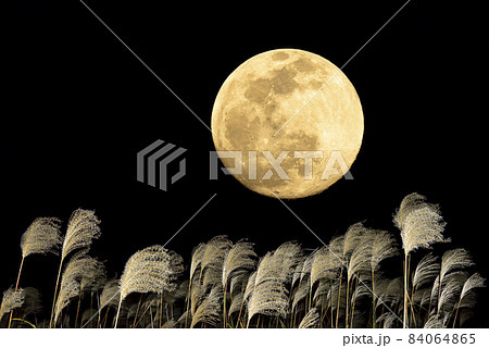 【秋イメージ】中秋の名月とススキ 【秋イメージ】中秋の名月とススキ 84064865