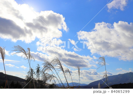 ススキ　青空　雲　太陽光　山 84065299